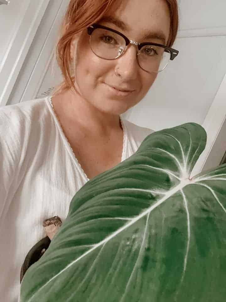 Where Sophie’s passion for plants and bohemia intersect